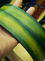 Thắt lưng da bò Veg-tan Handmade màu xanh Patina